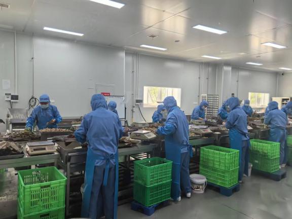 7e87568489f720b0176c48724f901f5